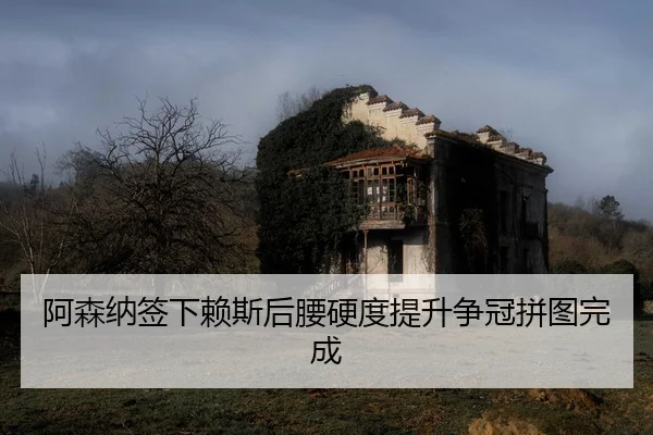 a-sen-na-qian-xia-lai-si-hou-yao-ying-du-ti-sheng-zheng-guan-pin-tu-wan-cheng-2-316.jpg