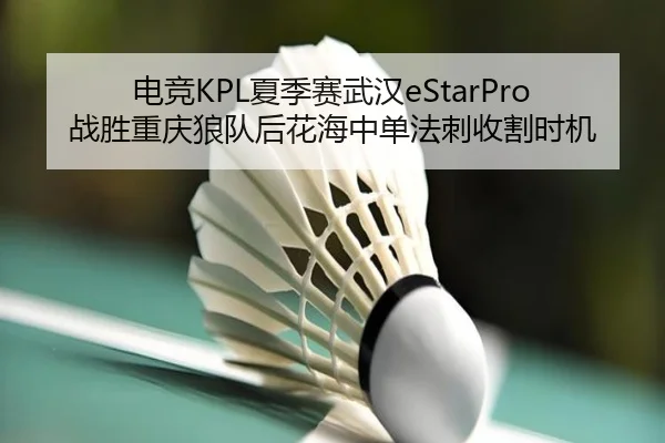 电竞KPL夏季赛武汉eStarPro战胜重庆狼队后花海中单法刺收割时机
